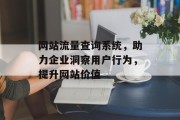 网站流量查询系统，助力企业洞察用户行为，提升网站价值