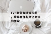 TVB聚焦大陆娱乐圈，跨界合作与文化交流的桥梁