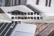揭秘网站补流量平台，助力网站提升知名度与影响力