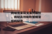 网站流量裂变案例解析，揭秘高效吸粉策略背后的秘密