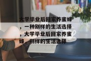 大学毕业后回家养蜜蜂，一种别样的生活选择，大学毕业后回家养蜜蜂，别样的生活选择