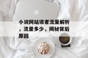 小说网站读者流量解析，流量多少，揭秘背后原因