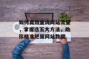 如何高效查询网站流量，掌握这五大方法，助你精准把握网站数据