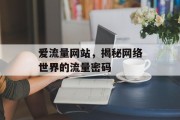 爱流量网站，揭秘网络世界的流量密码