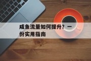 咸鱼流量如何提升？一份实用指南