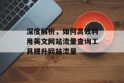 深度解析，如何高效利用英文网站流量查询工具提升网站流量