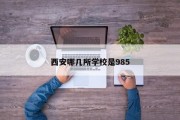 西安哪几所学校是985