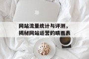 网站流量统计与评测，揭秘网站运营的晴雨表