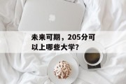 未来可期，205分可以上哪些大学？