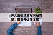 深入解析独立站网站流量，查看与优化之道