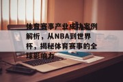 体育赛事产业成功案例解析，从NBA到世界杯，揭秘体育赛事的全球影响力