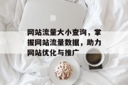 网站流量大小查询，掌握网站流量数据，助力网站优化与推广