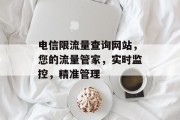 电信限流量查询网站，您的流量管家，实时监控，精准管理