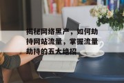 揭秘网络黑产，如何劫持网站流量，掌握流量劫持的五大绝招