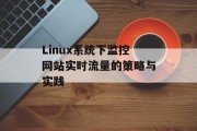 Linux系统下监控网站实时流量的策略与实践
