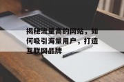 揭秘流量高的网站，如何吸引海量用户，打造互联网品牌