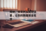 揭秘，哪些网站能存流量，让你的数据安全无忧