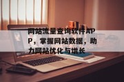 网站流量查询软件APP，掌握网站数据，助力网站优化与增长