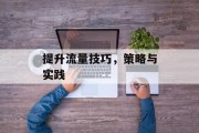 提升流量技巧，策略与实践