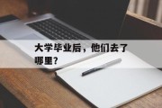 大学毕业后，他们去了哪里？