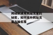 揭秘刷通用网站流量的秘密，如何提升网站流量与知名度
