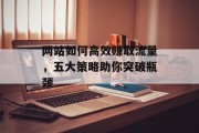 网站如何高效赚取流量，五大策略助你突破瓶颈