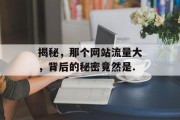 揭秘，那个网站流量大，背后的秘密竟然是.