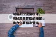 网站APP流量统计，揭秘流量背后的秘密，助力企业精准营销