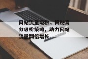 网站流量吸粉，揭秘高效吸粉策略，助力网站流量翻倍增长