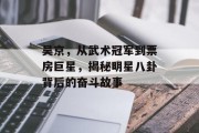吴京，从武术冠军到票房巨星，揭秘明星八卦背后的奋斗故事
