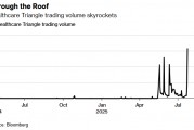 Meme狂潮引爆冷门医疗IT股：Healthcare Triangle单日暴涨115% 交易量占全美15%