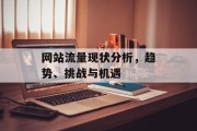 网站流量现状分析，趋势、挑战与机遇