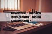 网站跑流量，揭秘高效流量获取策略，助你网站实现快速增长