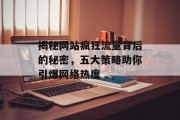 揭秘网站疯狂流量背后的秘密，五大策略助你引爆网络热度