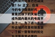 如何提升阿里巴巴店流量？br 正文，在当今的电子商务时代，阿里集团旗下的天猫已经成为国内最大的电商平台之一。为了进一步提升店铺的流量和销售额，了解一些有效的优化方法是非常必要的