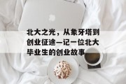 北大之光，从象牙塔到创业征途—记一位北大毕业生的创业故事