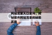 网站流量入口查询，揭秘提升网站流量的秘密武器