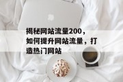 揭秘网站流量200，如何提升网站流量，打造热门网站