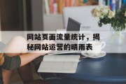 网站页面流量统计，揭秘网站运营的晴雨表