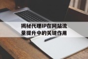 揭秘代理IP在网站流量提升中的关键作用