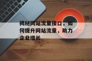 揭秘网站流量接口，如何提升网站流量，助力企业增长