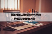 揭秘网站流量统计原理，数据背后的秘密