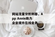 网站流量分析利器，App Annie助力企业提升在线业务