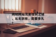 揭秘网站流量增长之谜，从无到有，需要多久？