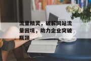 流量精灵，破解网站流量困境，助力企业突破瓶颈