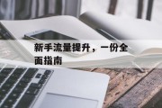 新手流量提升，一份全面指南