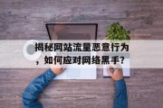 揭秘网站流量恶意行为，如何应对网络黑手？