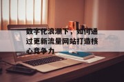 数字化浪潮下，如何通过更新流量网站打造核心竞争力