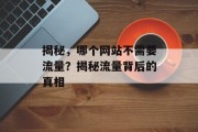 揭秘，哪个网站不需要流量？揭秘流量背后的真相