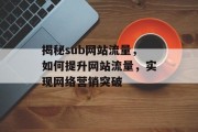 揭秘sub网站流量，如何提升网站流量，实现网络营销突破